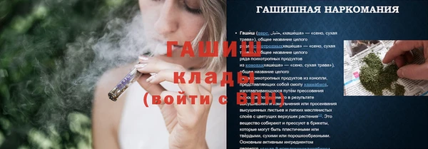 ГАЛЛЮЦИНОГЕННЫЕ ГРИБЫ Заводоуковск