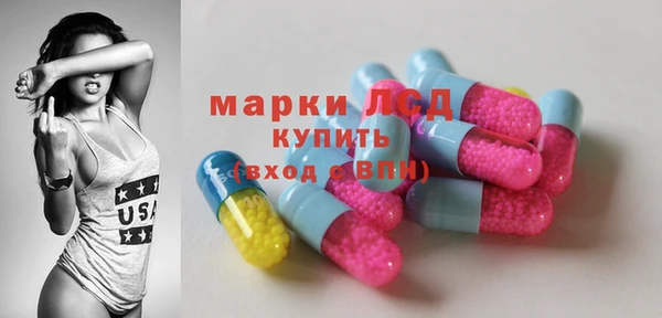 индика Елизово