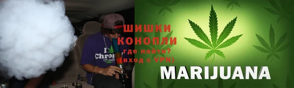 ГАЛЛЮЦИНОГЕННЫЕ ГРИБЫ Заводоуковск
