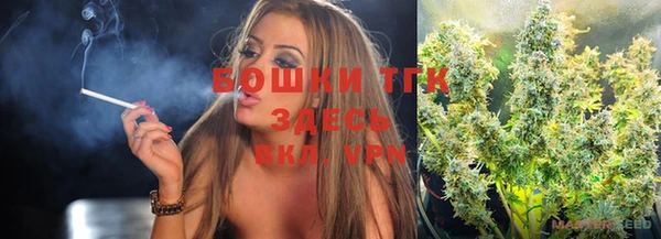 ГАЛЛЮЦИНОГЕННЫЕ ГРИБЫ Заводоуковск