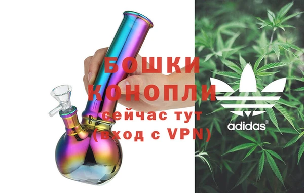 ГАЛЛЮЦИНОГЕННЫЕ ГРИБЫ Заводоуковск